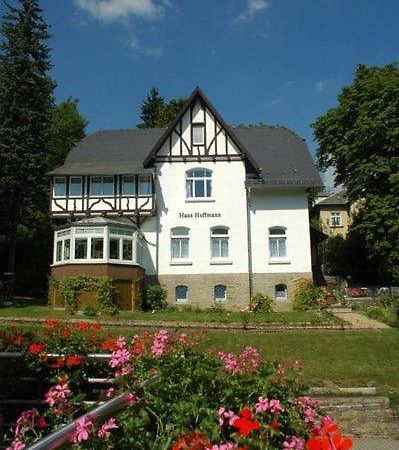 Ferienwohnung In Villa バート・エルスター エクステリア 写真
