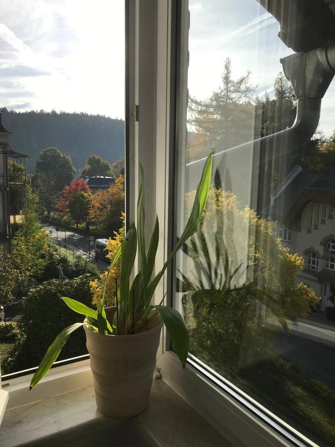 Ferienwohnung In Villa バート・エルスター エクステリア 写真